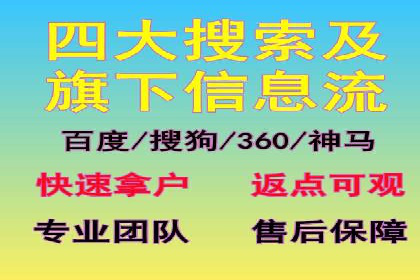 成功案例：网站sem托管如何影响销售数据